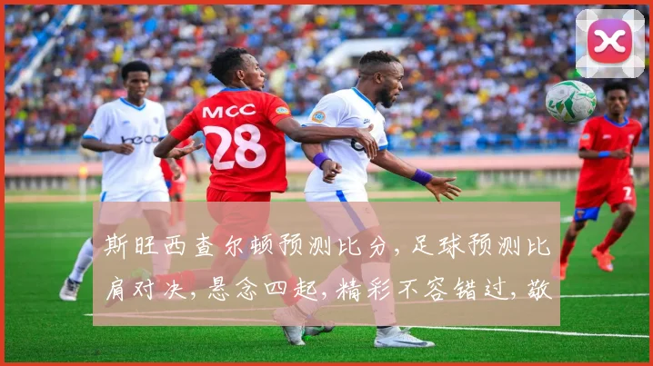斯旺西查尔顿预测比分,足球预测比肩对决,悬念四起,精彩不容错过,敬请关注。
