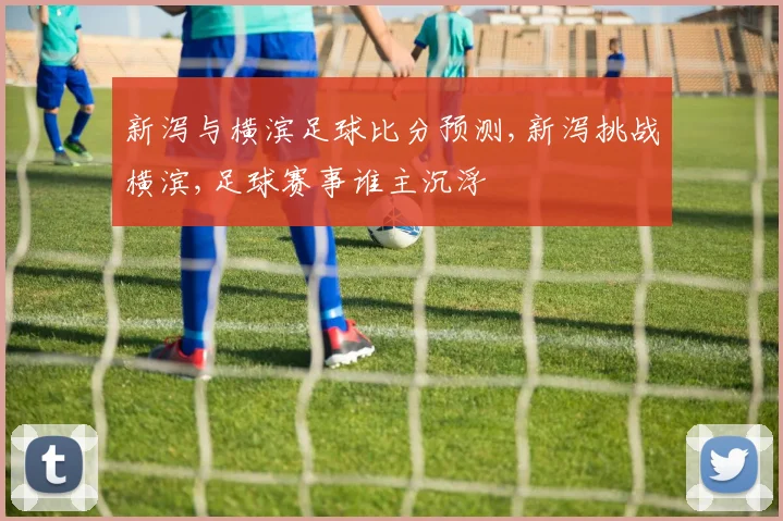 新泻与横滨足球比分预测,新泻挑战横滨,足球赛事谁主沉浮